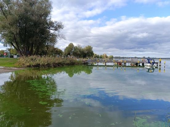 Ein Blick vom Ufer über einen See, Bäume am Ufer und Wolken am Himmel