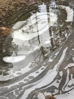 Ein Bild spiegel sich in einer Pfütze