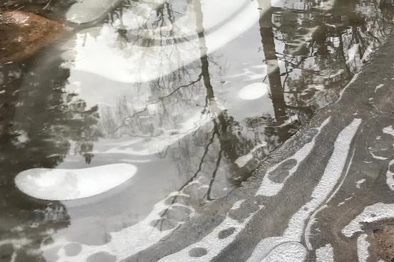 Ein Bild spiegel sich in einer Pfütze
